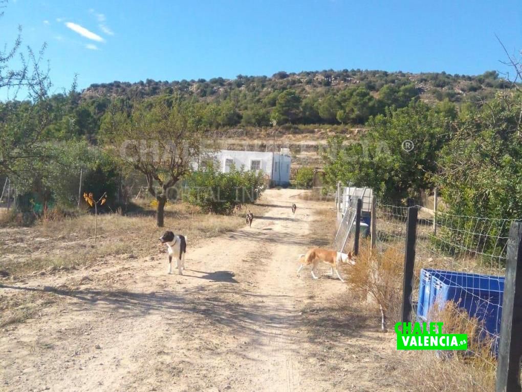Chalet en Casinos con mucho terreno